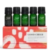 Good Cheer Diffuser Blend Collection