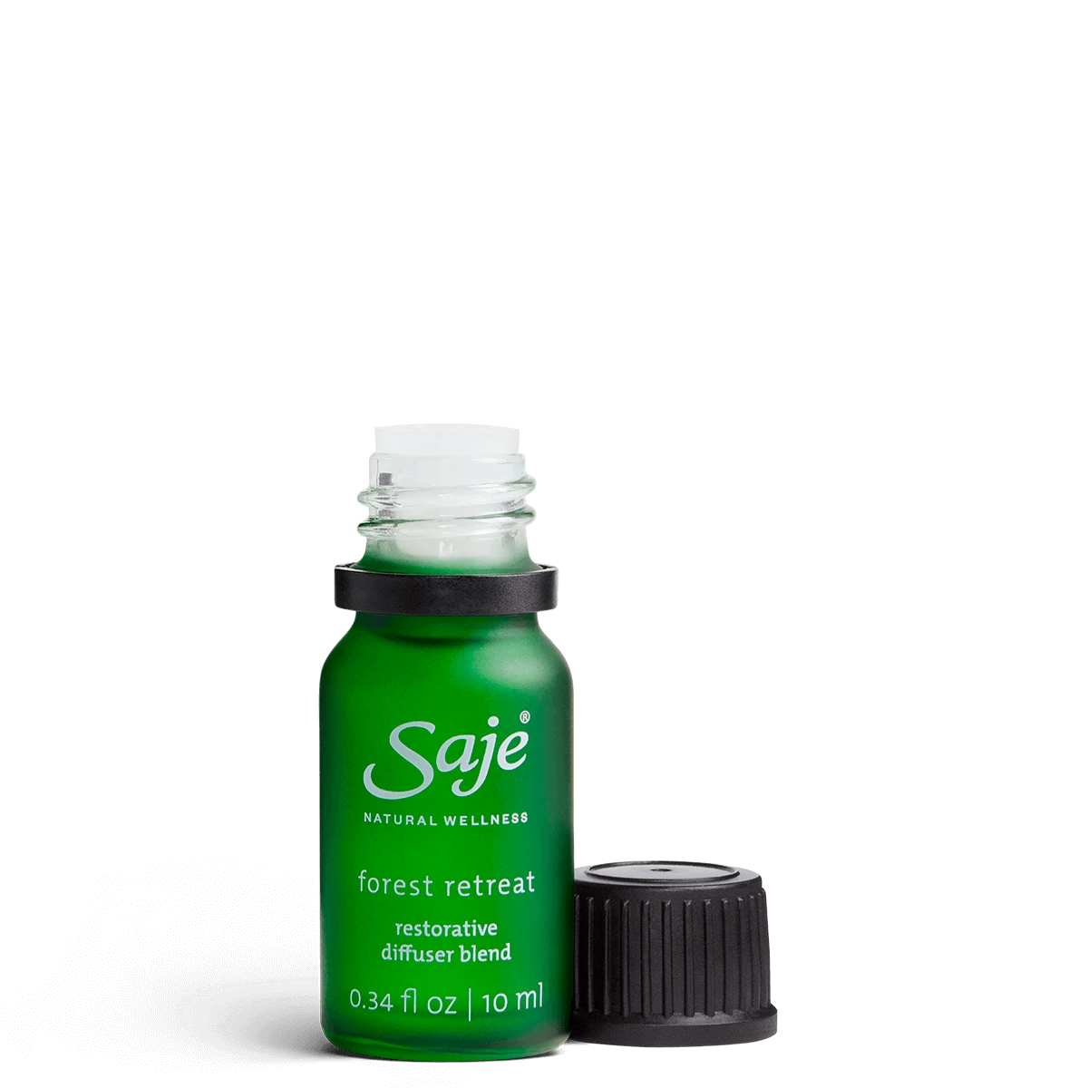 Forest Retreat 3 Forest Retreat - Image 3