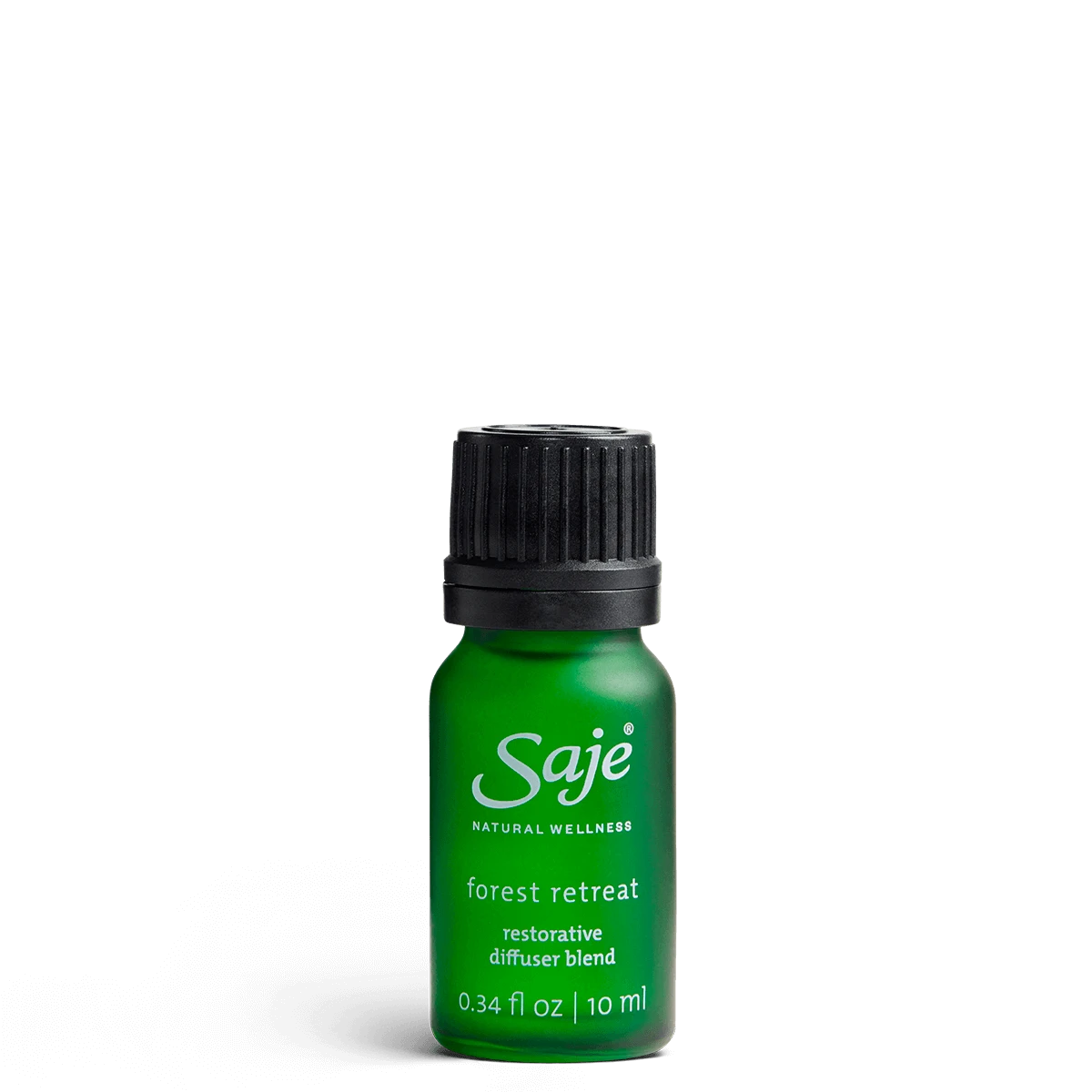 Forest Retreat 1 Forest Retreat