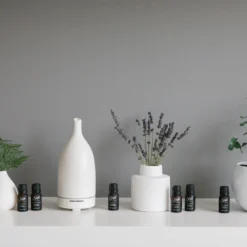 Fortify Petite -Diffusers Sale Store AH DIFFUSER BLENDS CAN INSITU 1 WEBRES
