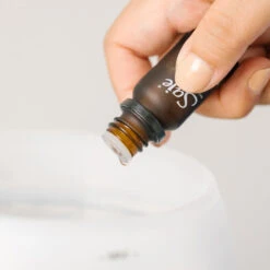 Diffusers Sale Store -Diffusers Sale Store AH DIFFUSER BLENDS CAN INSITU 5 WEBRES 9ba7fffc d318 4d5b 86ef 7e85e2035633