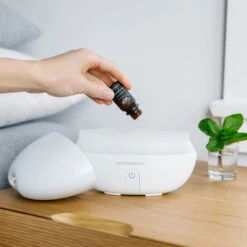 Peppermint Oil -Diffusers Sale Store ESS PEPPERMINT SINGLE NOTE DB 402801 INSITU 1 WEBRES 82270f37 4946 4cce b6bf d11c433f1366