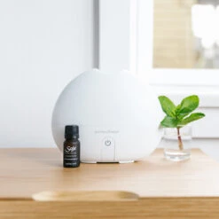 Peppermint Oil -Diffusers Sale Store ESS PEPPERMINT SINGLE NOTE DB 402801 INSITU 2 WEBRES 80d8470a 26b4 4328 bd2a 1589eea4b41b