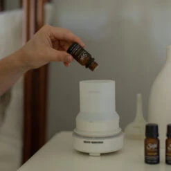 Morning To Night -Diffusers Sale Store dream state db 10ml 704159 c01